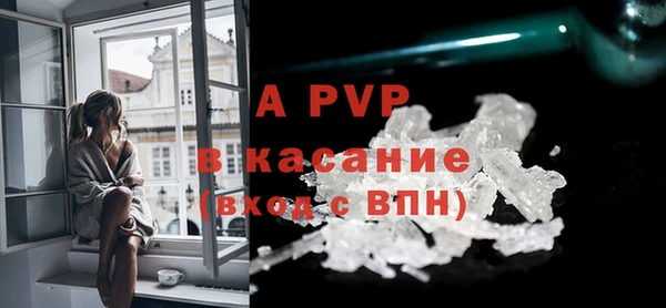 дживик Майский