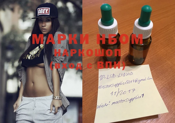 молекула духа Арсеньев