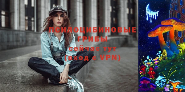 ПСИЛОЦИБИНОВЫЕ ГРИБЫ Балабаново