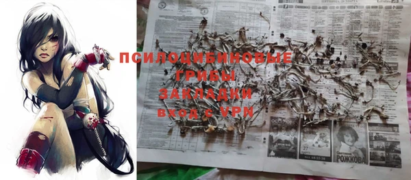 ПСИЛОЦИБИНОВЫЕ ГРИБЫ Балабаново