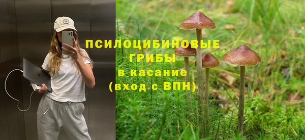 ГАЛЛЮЦИНОГЕННЫЕ ГРИБЫ Алексеевка