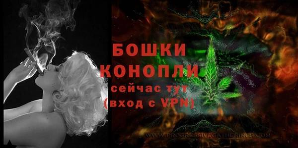 молекула духа Арсеньев