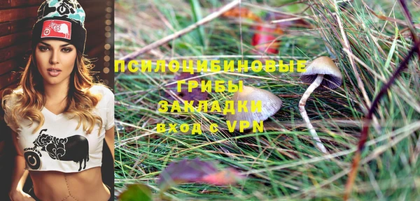 молекула духа Арсеньев