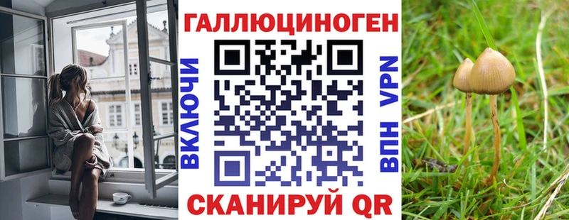 Галлюциногенные грибы Cubensis  купить   Макушино 